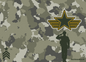 Army